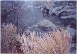 snow 14