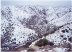 snow 5