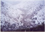 snow 7