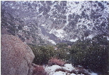 snow 9