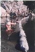 Unknown 1