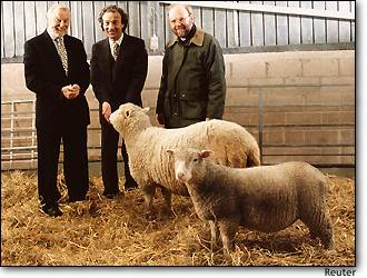 Image: Scientists Pose With Cloned Sheep Dolly And Polly