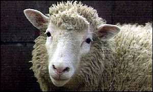 image: [ Dolly: A scientific first ]