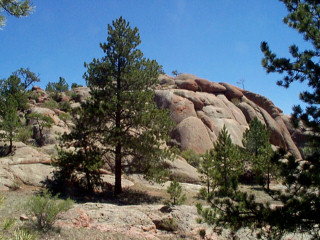 Rock we climbed