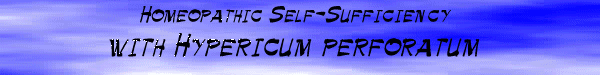 Homeopathic Self-Sufficiency with Hypericum