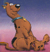 Scooby Dooby Doo On We Go!!