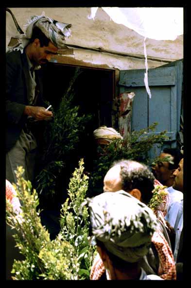 Khat dealing in Yemen, Sana'a photo