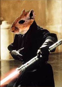 Clyde, Jedi Hamster