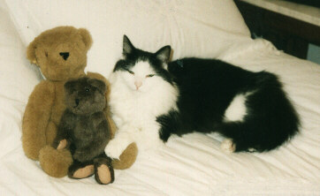 Fripp with Teddy Bears