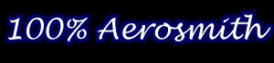 100% Aerosmith