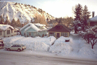 snow.gif