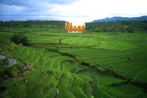 Bali300.jpg (10513 bytes)