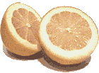 Lemon2-m.gif (4034 bytes)