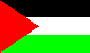 Palestinian Flag2