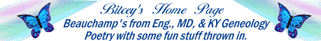 Bitcey's Homepage