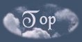 Top of Page