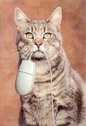 Cat with Mouse