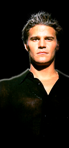 Scroll down for more pix of David Boreanaz!!