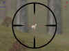 ghostinwoods.jpg (59530 bytes)