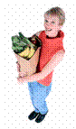 Text Box:  
