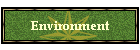 Environment