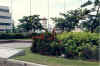 Half Way Tree