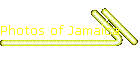 Photos of Jamaica