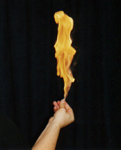 Spectacular shot of a flame on a match.