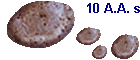 10 A.A. s
