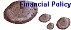Financial Policy