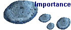 Importance