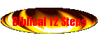 Biblical 12 Steps