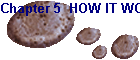 Chapter 5  HOW IT WORKS