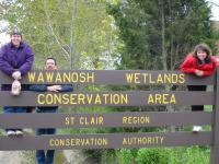 Wawonosh Wetlands