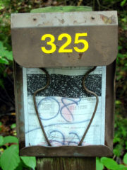Campsite