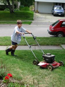 Derek Lawn Mower