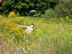 Jared Frisbee