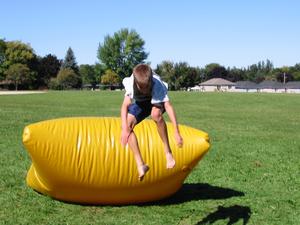 Bladder Derek