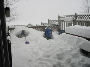 Snow Forts