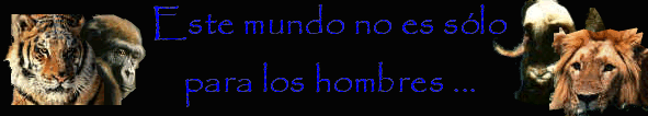 Salvemos a los Animales