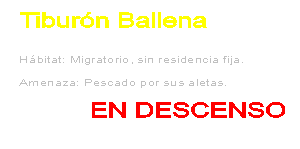 Extincin