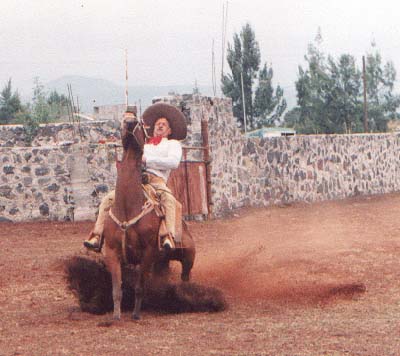 Cala de Caballo