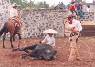 Lazo de cabeza