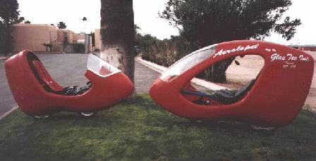 A pair of Aerolop fairiiings. The mold was eventually destroyed 