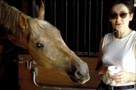 Nice Horse!