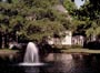 146 Rock Harbor Lane