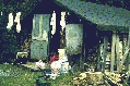 The Woodshed