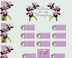Iris Set by April