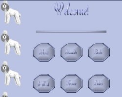 Pet Set by Virginia