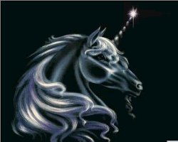 Unicorn Fantasy by Selah